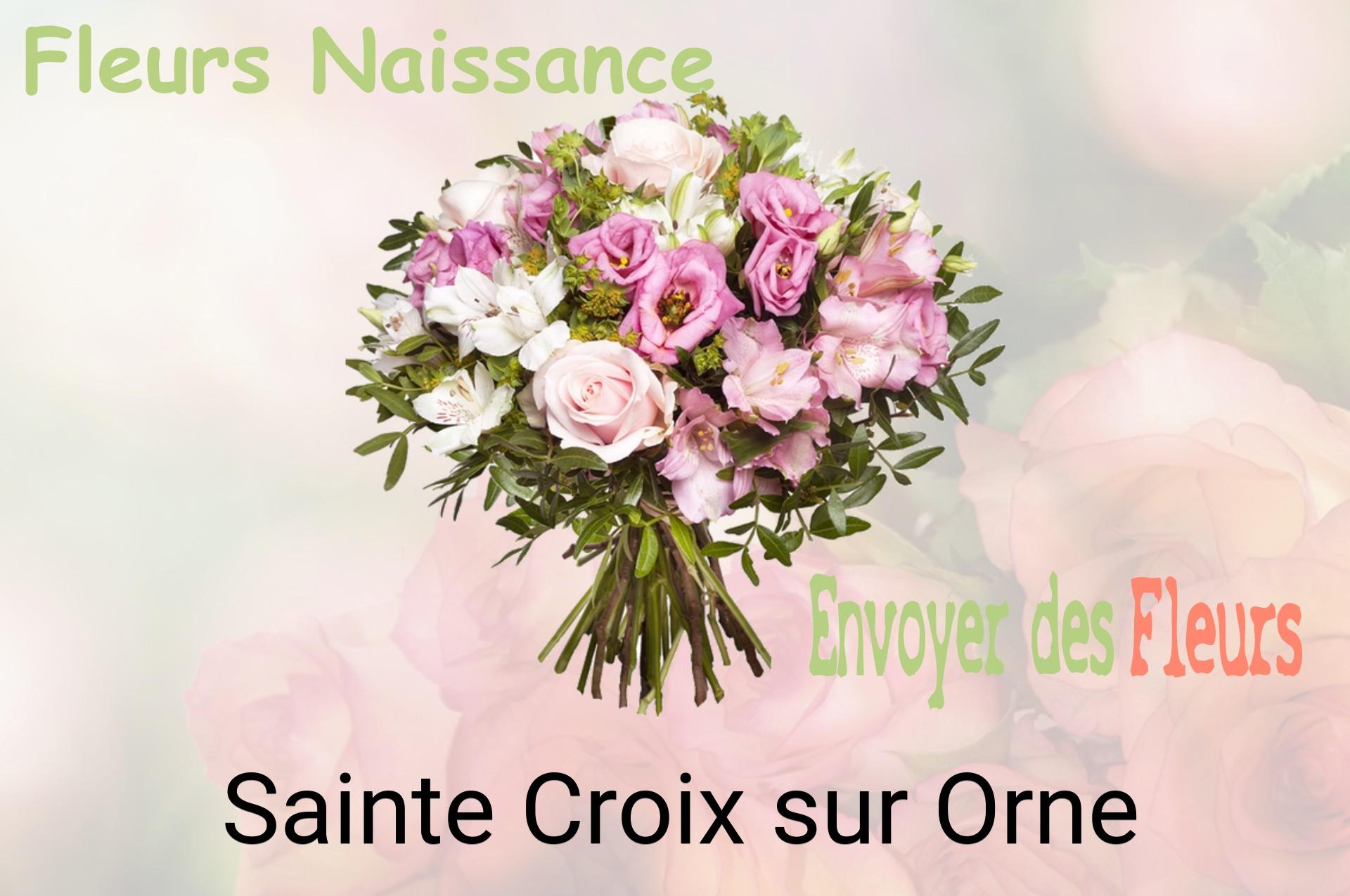 Bouquet de fleurs de naissance livré à Sainte-Croix-sur-Orne